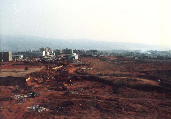 i1 (80)